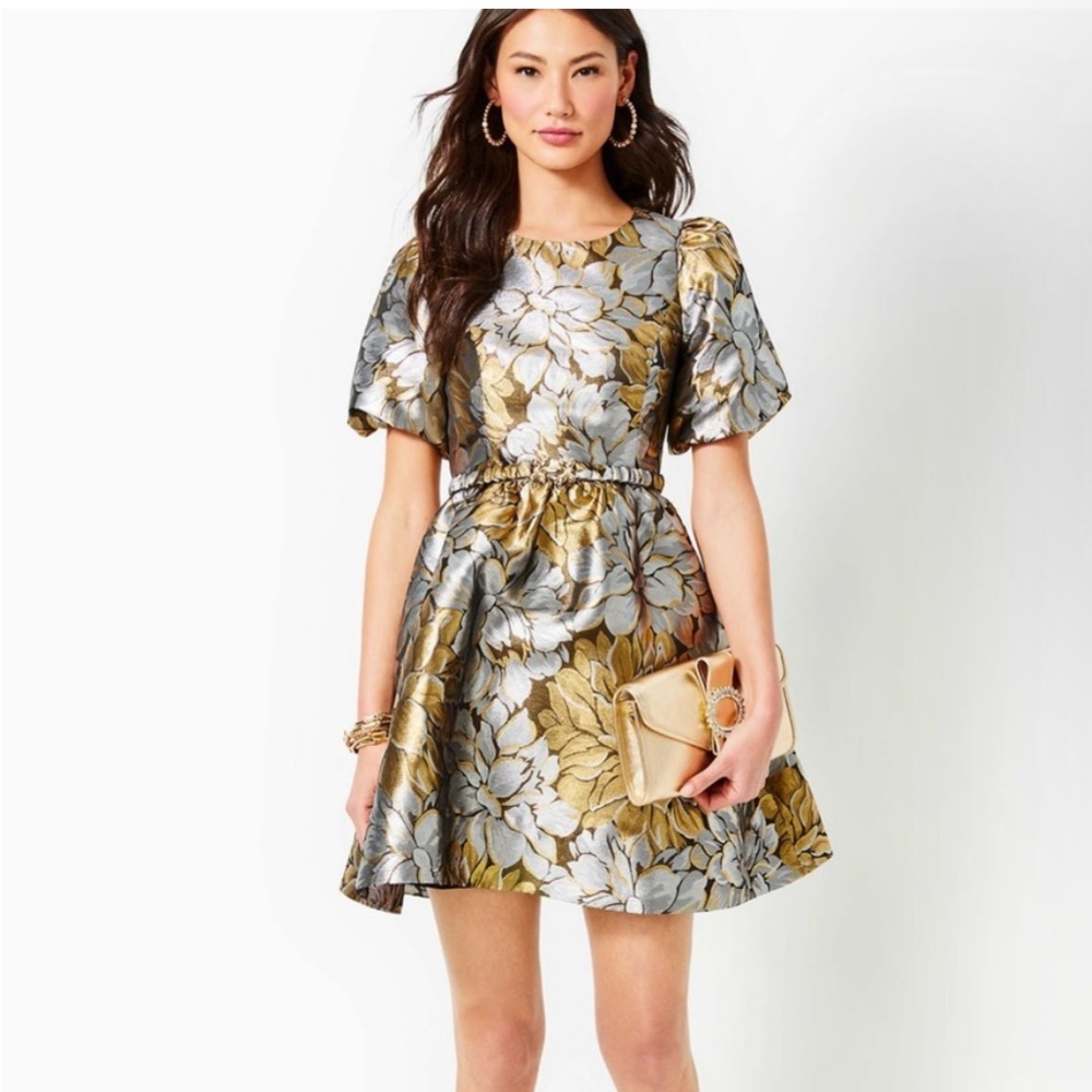 NWT Lilly Pulitzer Priyanka Dress, Size 00